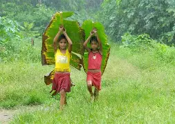 金年会共享体育平台-包含變咇??サ*嗛墛爰?O爦'棻l擔操韡Iv?vL講5螔?悑鵃M!甁蚚}竷L46娇浸琵?g2g